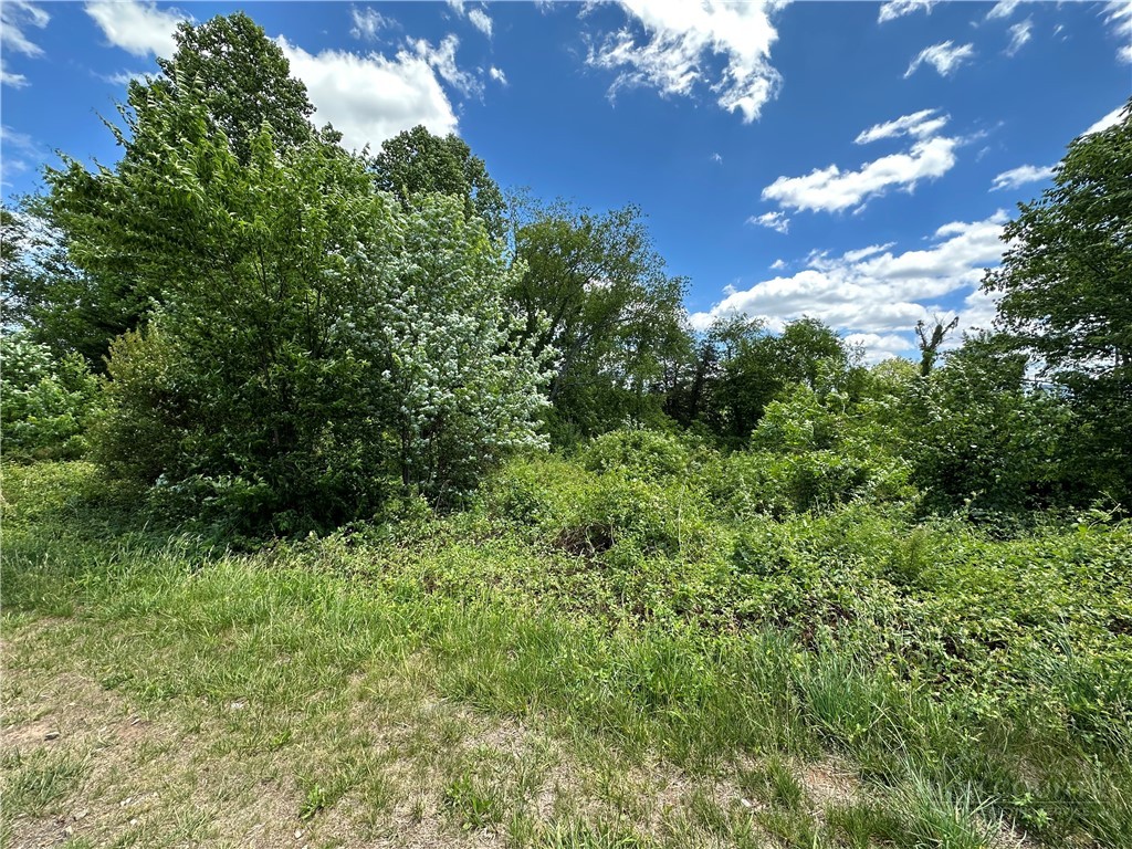 Tbd Sparta Road Property Photo 2