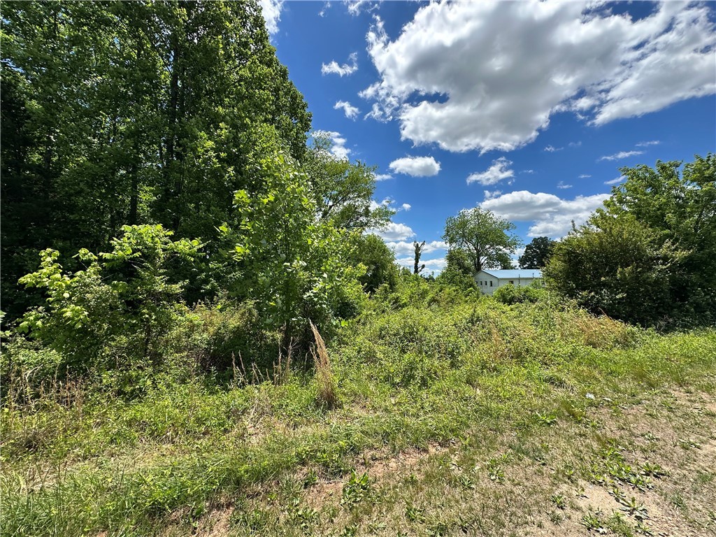 Tbd Sparta Road Property Photo 3