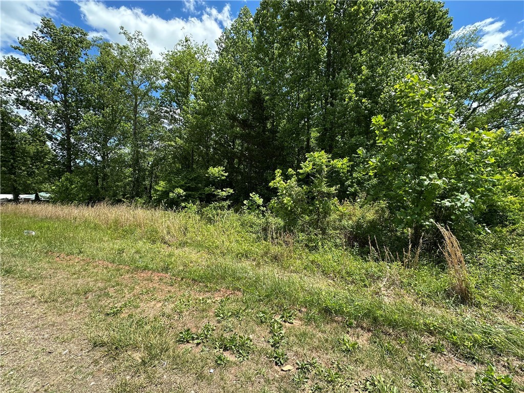 Tbd Sparta Road Property Photo 4