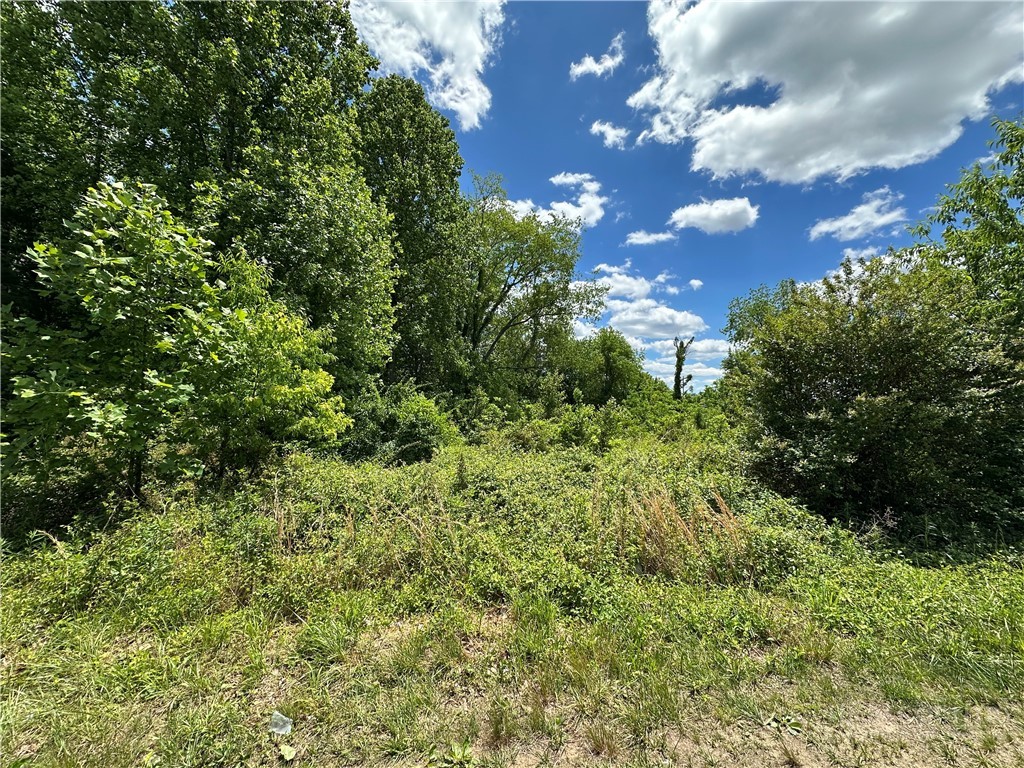 Tbd Sparta Road Property Photo 5