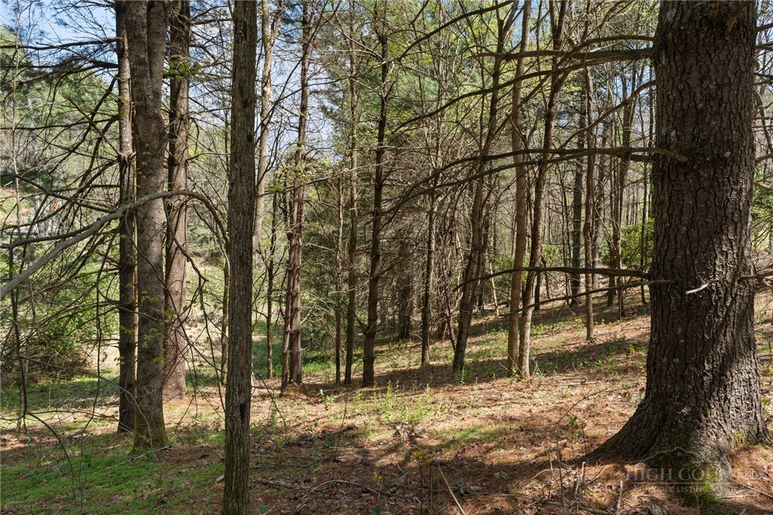 Tbd Highland Ridge Road Property Photo 2