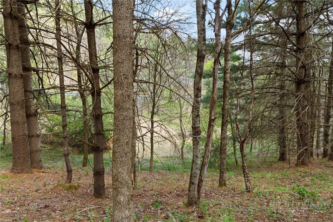 Tbd Highland Ridge Road Property Photo 3