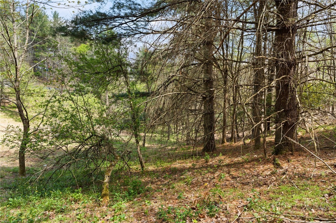 Tbd Highland Ridge Road Property Photo 4