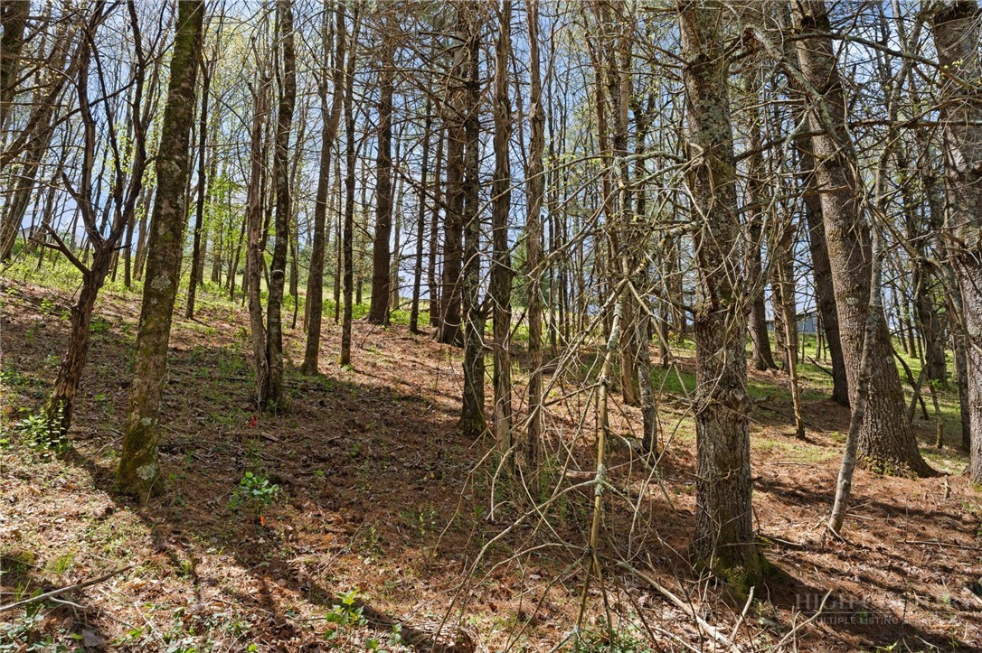Tbd Highland Ridge Road Property Photo 5