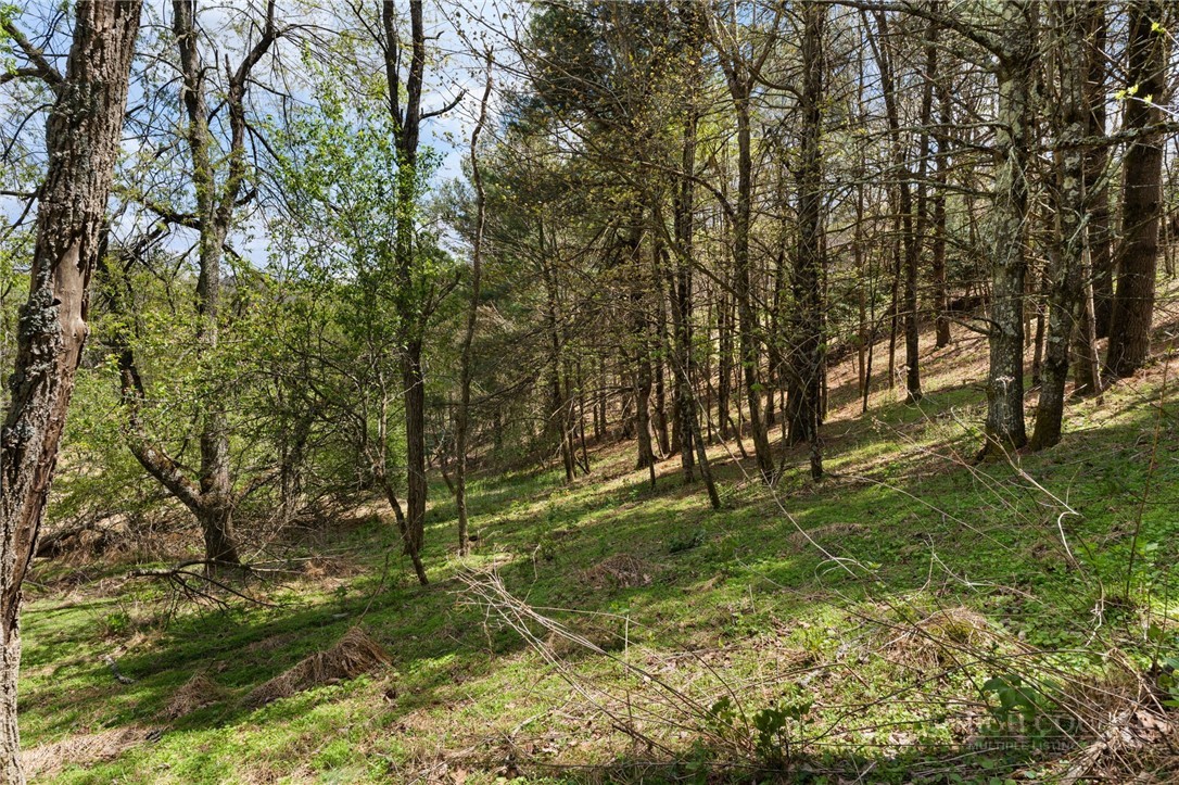 Tbd Highland Ridge Road Property Photo 6