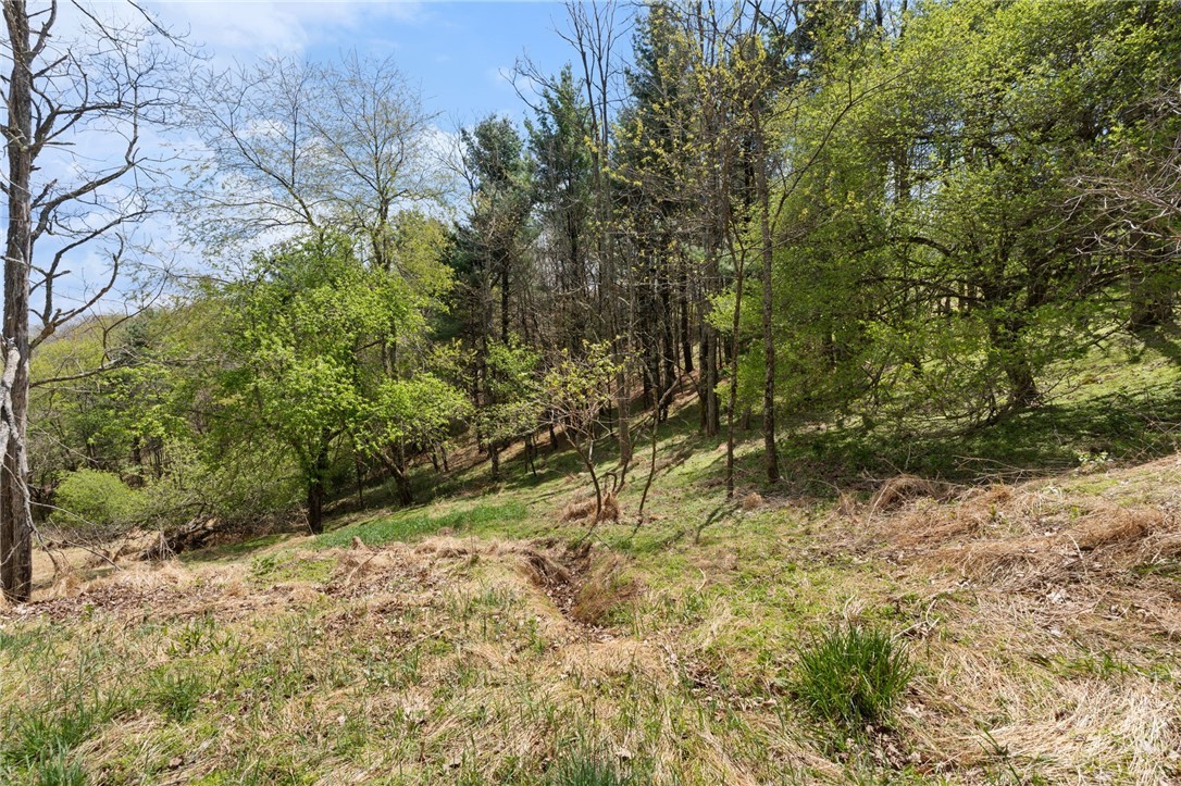 Tbd Highland Ridge Road Property Photo 7