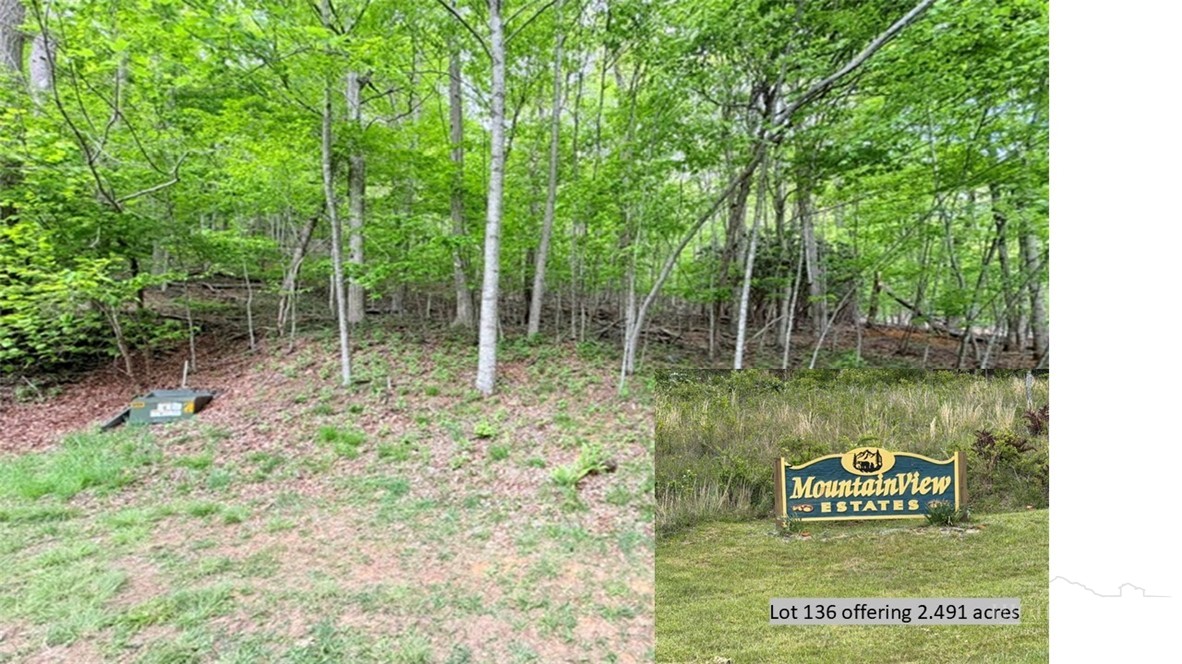 Lot 136 Lauren Lane Property Photo 1