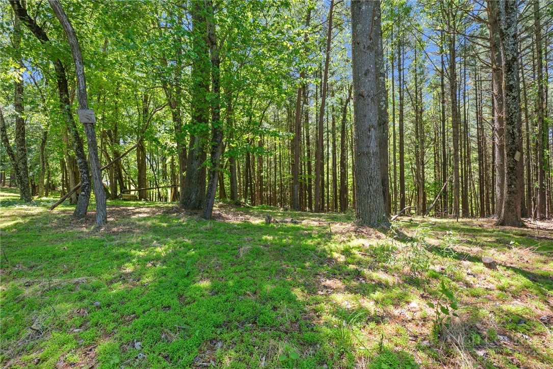 154 Folger Road Property Photo 30