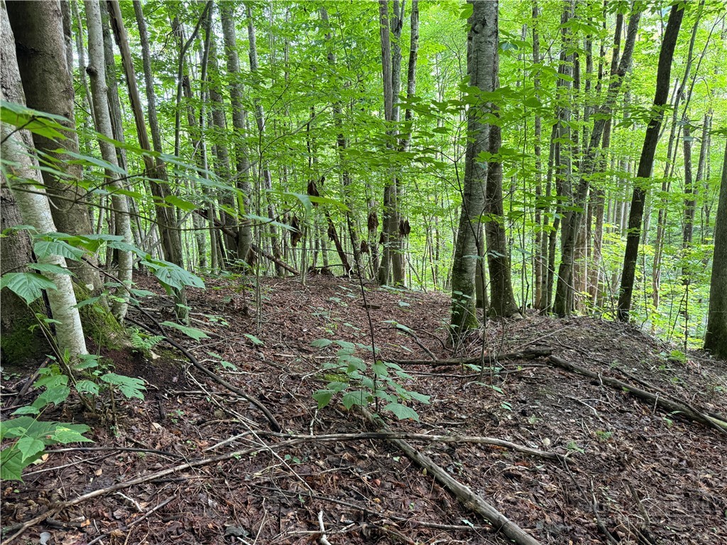 Lot 3 Buckeye Ridge Road Property Photo 1