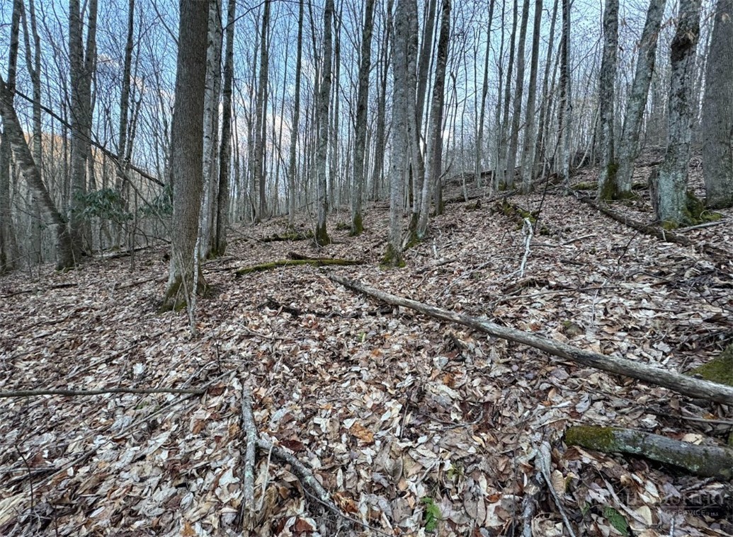 Lot 3 Buckeye Ridge Road Property Photo 3