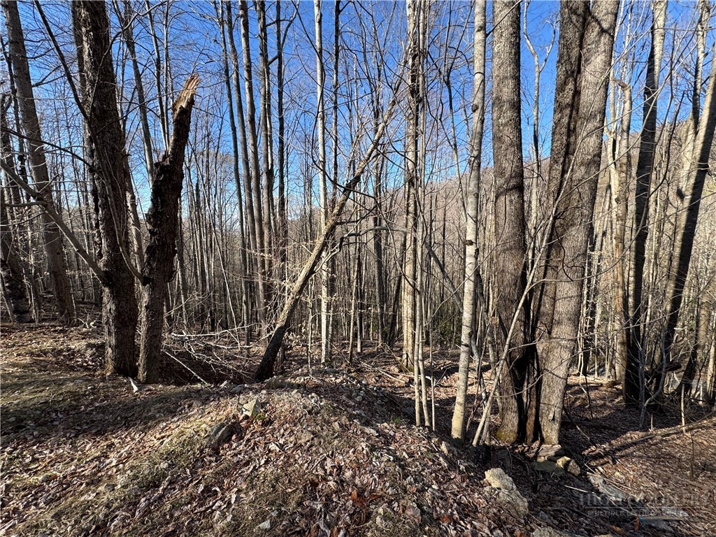 Lot 3 Buckeye Ridge Road Property Photo 4