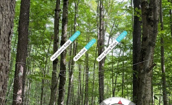 Lot 3 Buckeye Ridge Road Property Photo 6