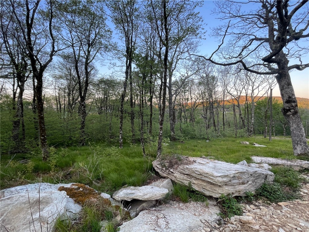 2 Acre Spur Lane Property Photo 2