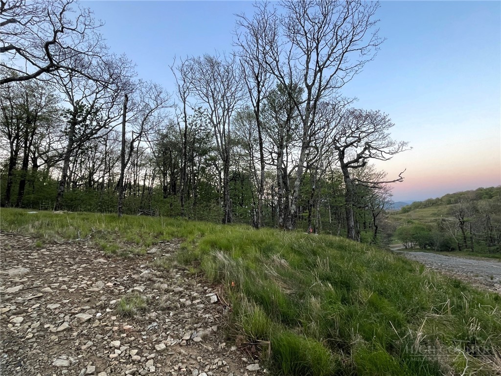 2 Acre Spur Lane Property Photo 4