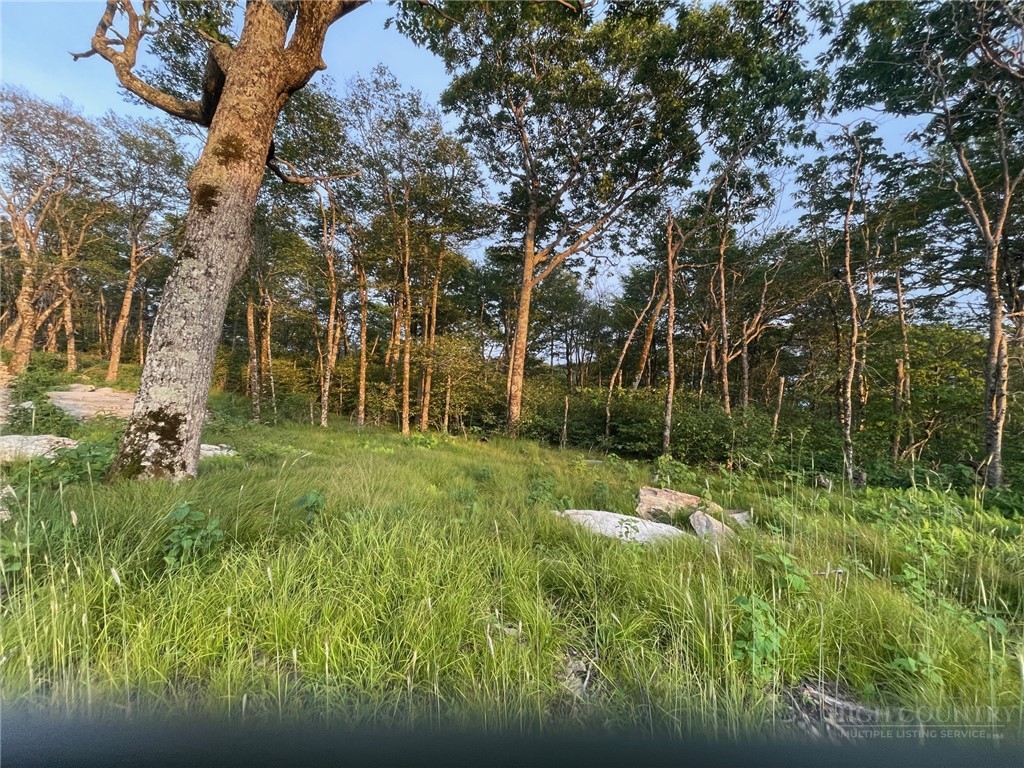 2 Acre Spur Lane Property Photo 5