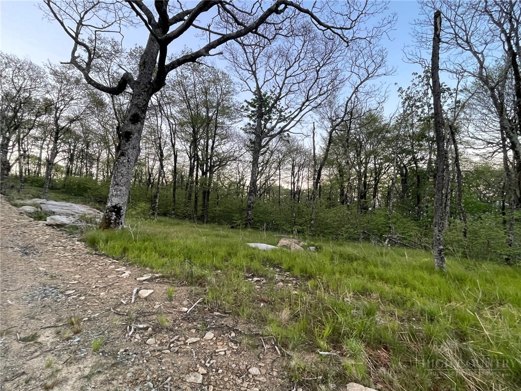 2 Acre Spur Lane Property Photo 21