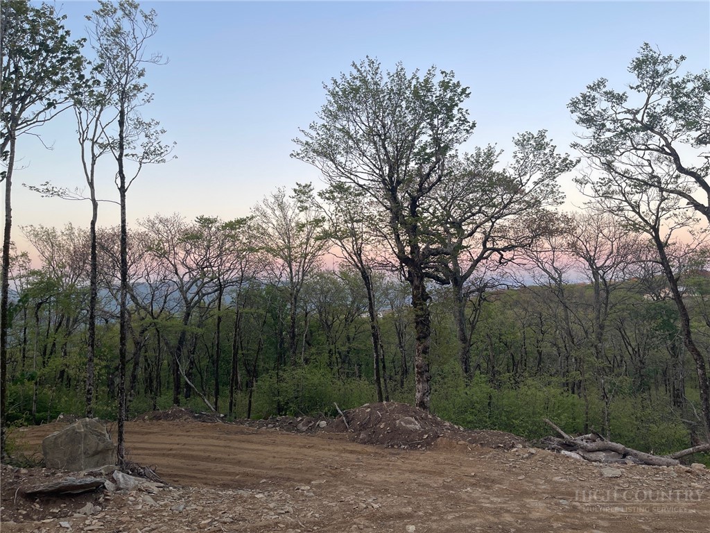 2 Acre Spur Lane Property Photo 24