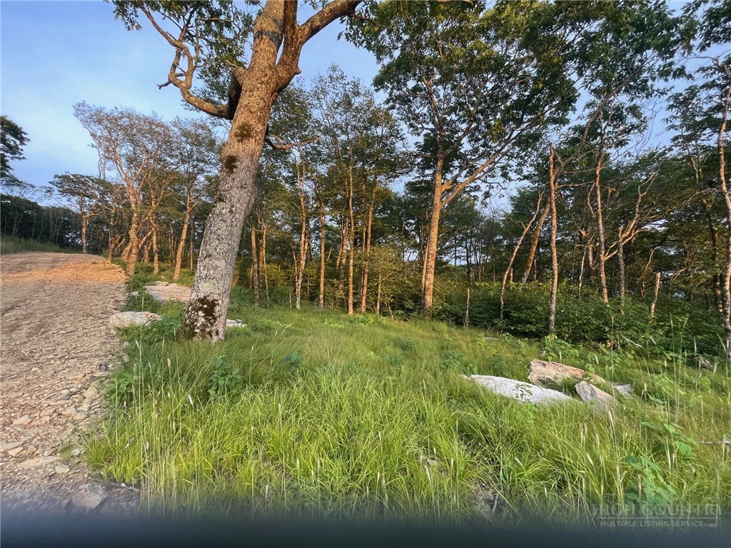 2 Acre Spur Lane Property Photo 31