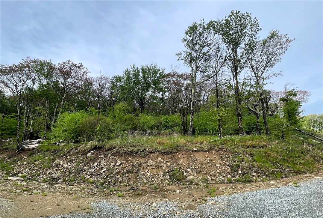 Tract 2 Spur Lane Property Photo 2