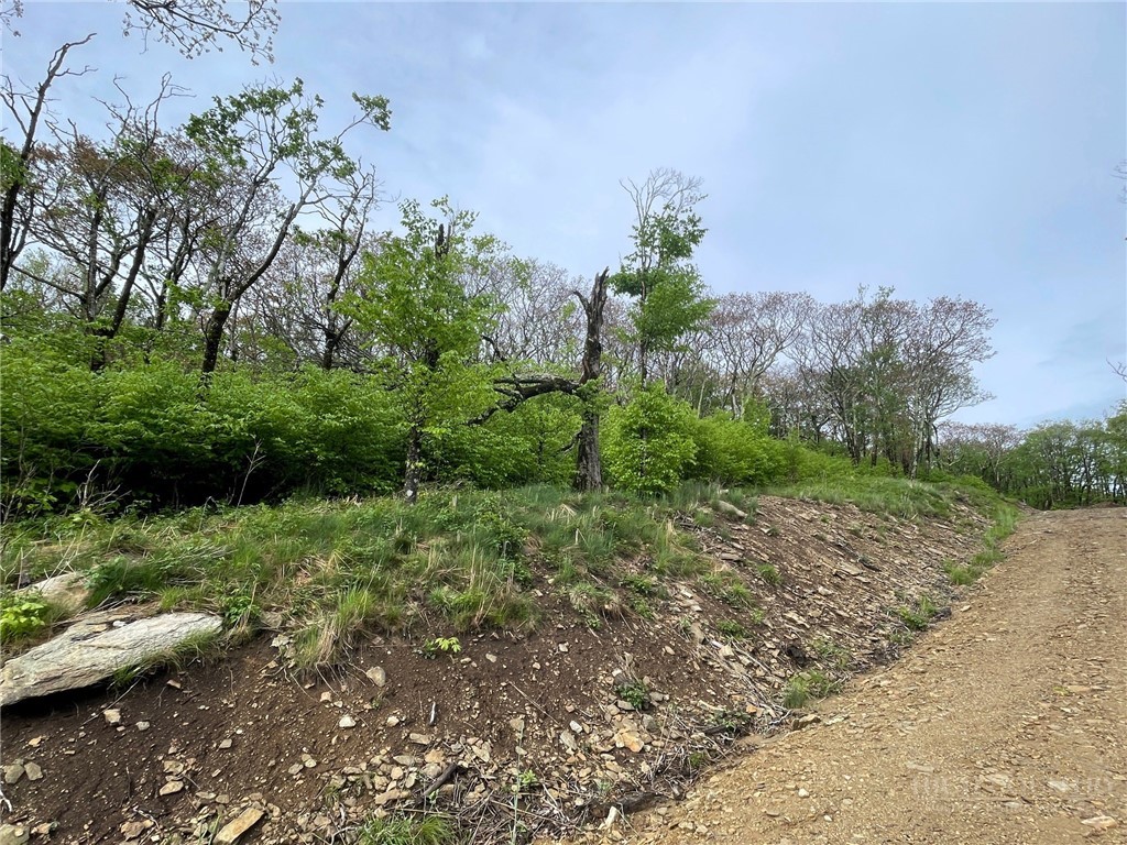 Tract 2 Spur Lane Property Photo 3