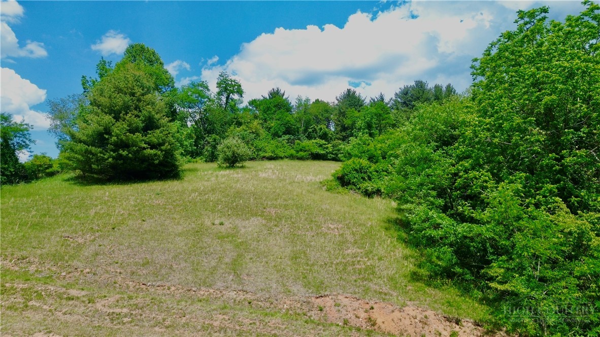 1315 Irwin Grocery Road Property Photo 17