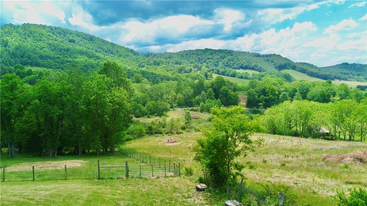 1315 Irwin Grocery Road Property Photo 18