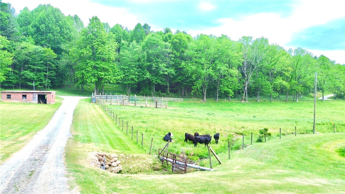 1315 Irwin Grocery Road Property Photo 21