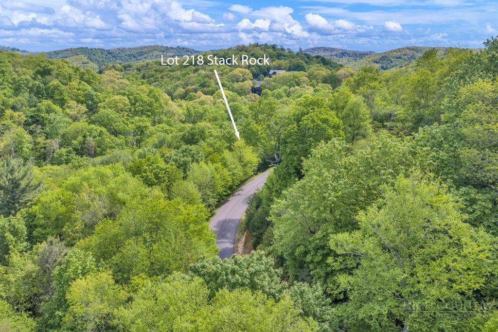 Lot 218 Stack Rock Trail Property Photo 1