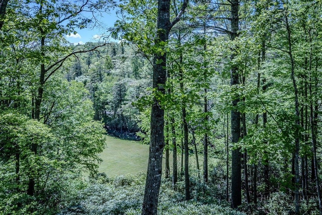 173 Laurel Brook Road Property Photo 12