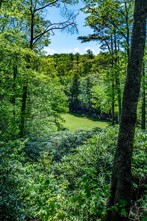 173 Laurel Brook Road Property Photo 40