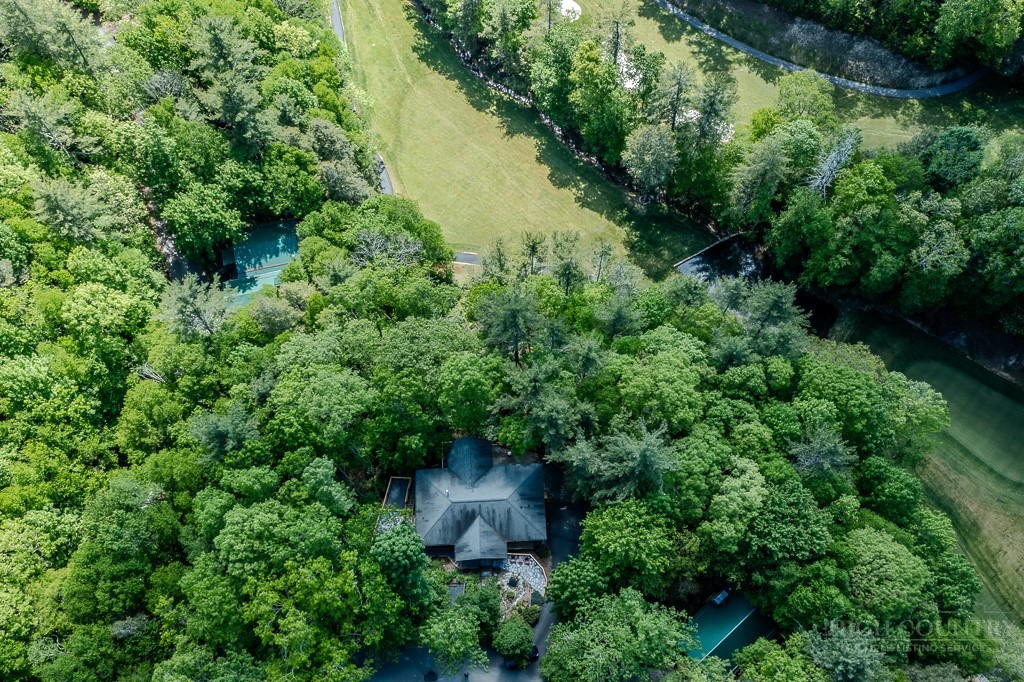 173 Laurel Brook Road Property Photo 48