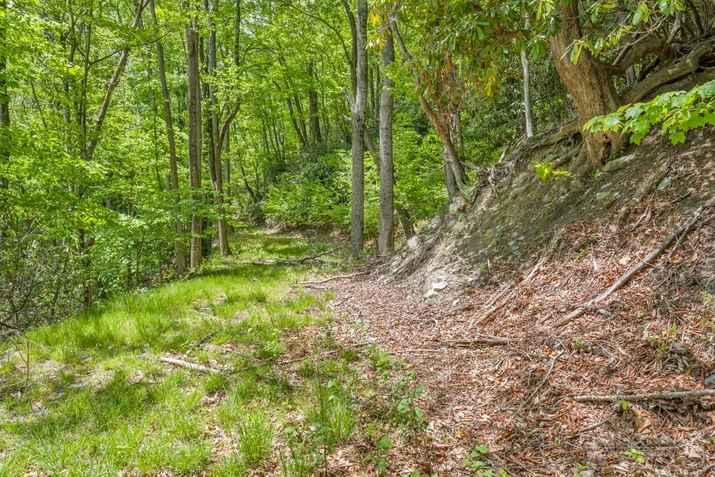 000 - 28 Acres Seven Devils Road Property Photo 8