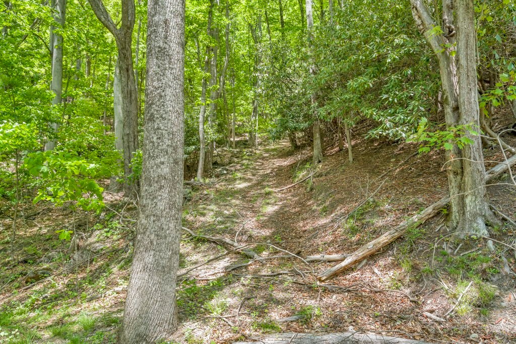 000 - 28 Acres Seven Devils Road Property Photo 9