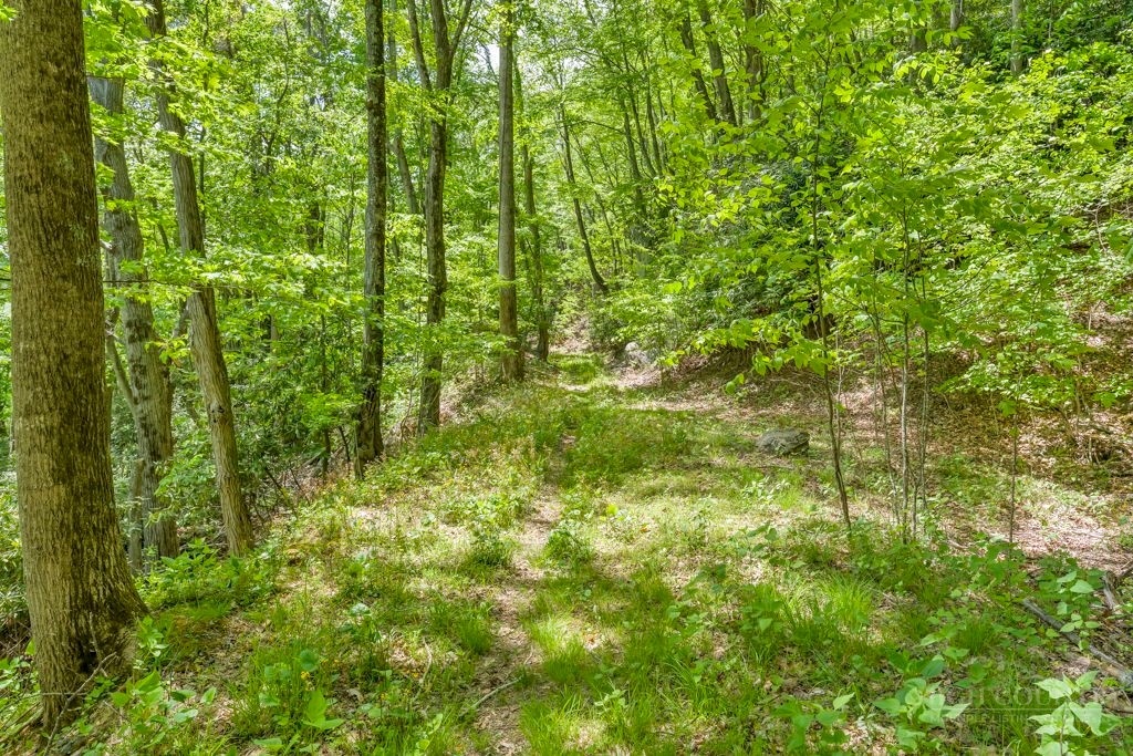 000 - 28 Acres Seven Devils Road Property Photo 10