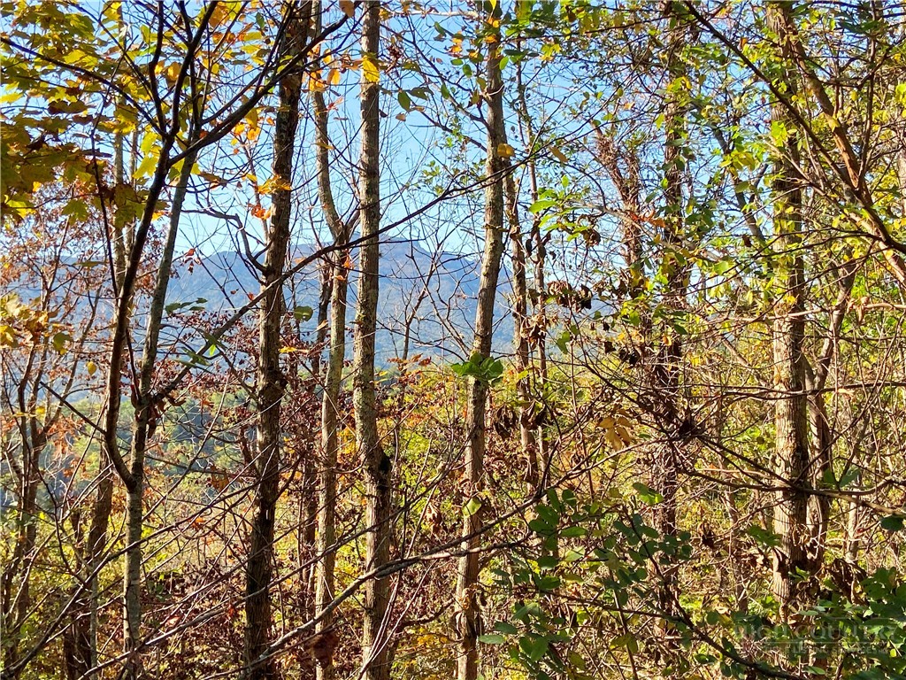 000 - 28 Acres Seven Devils Road Property Photo 14
