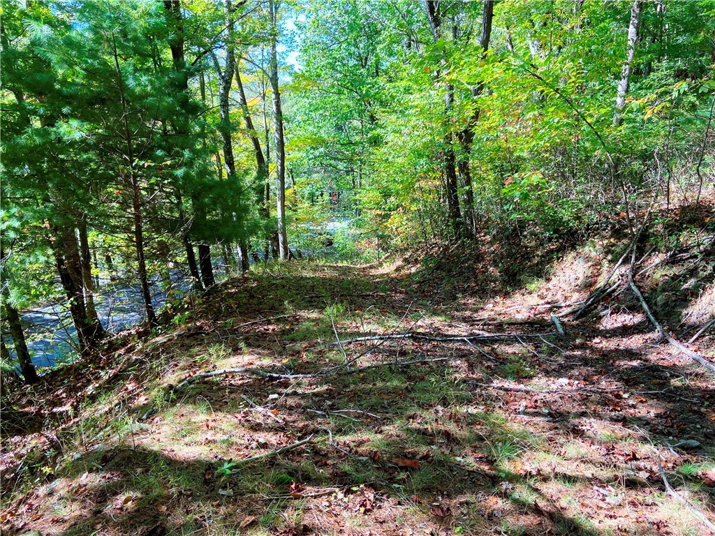 000 - 28 Acres Seven Devils Road Property Photo 16