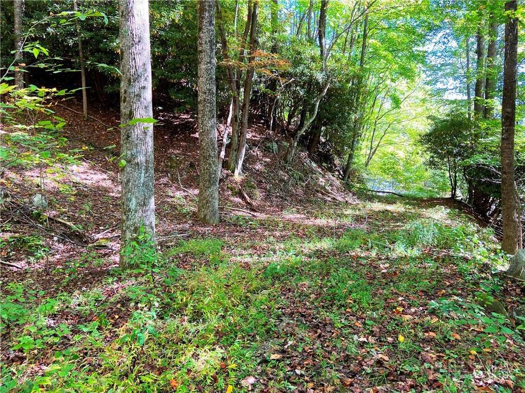 000 - 28 Acres Seven Devils Road Property Photo 17