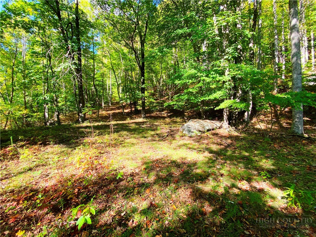000 - 28 Acres Seven Devils Road Property Photo 20