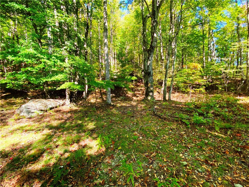 000 - 28 Acres Seven Devils Road Property Photo 21