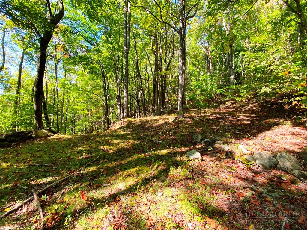 000 - 28 Acres Seven Devils Road Property Photo 23