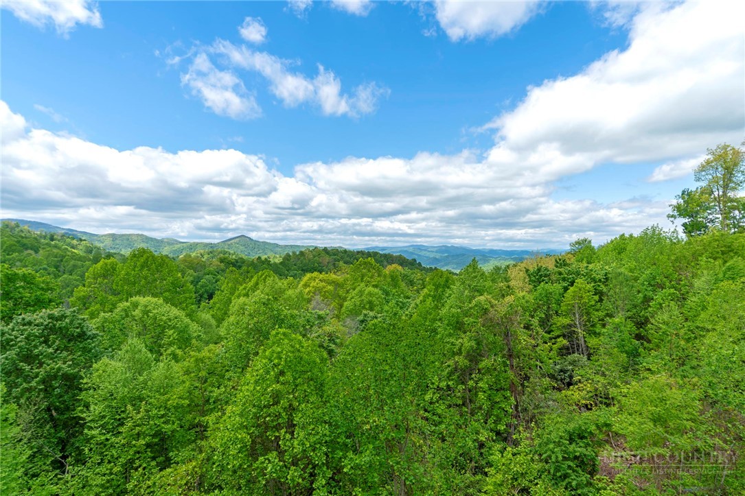 942 Ridge Haven Parkway R1211 Property Photo 16