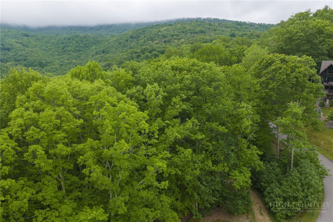 Lot 113 Eagle Park Drive Property Photo 1