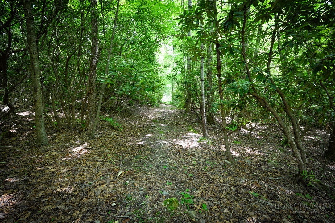 Lot 2 Gusher Knob Road Property Photo 1