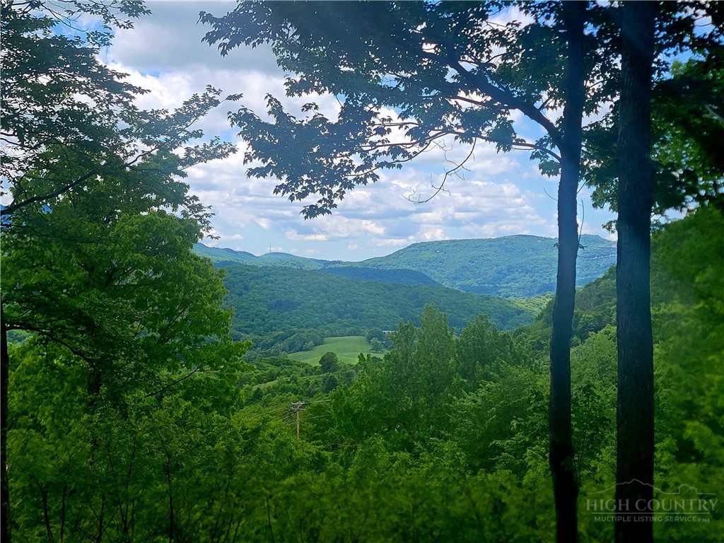 Lot 39 Skycamp Trail