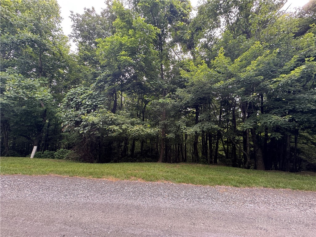 Tbd Wildcat Estates Drive Property Photo 1