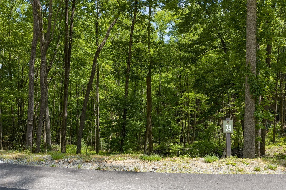 24 Wilderness Reserve Parkway Property Photo 4