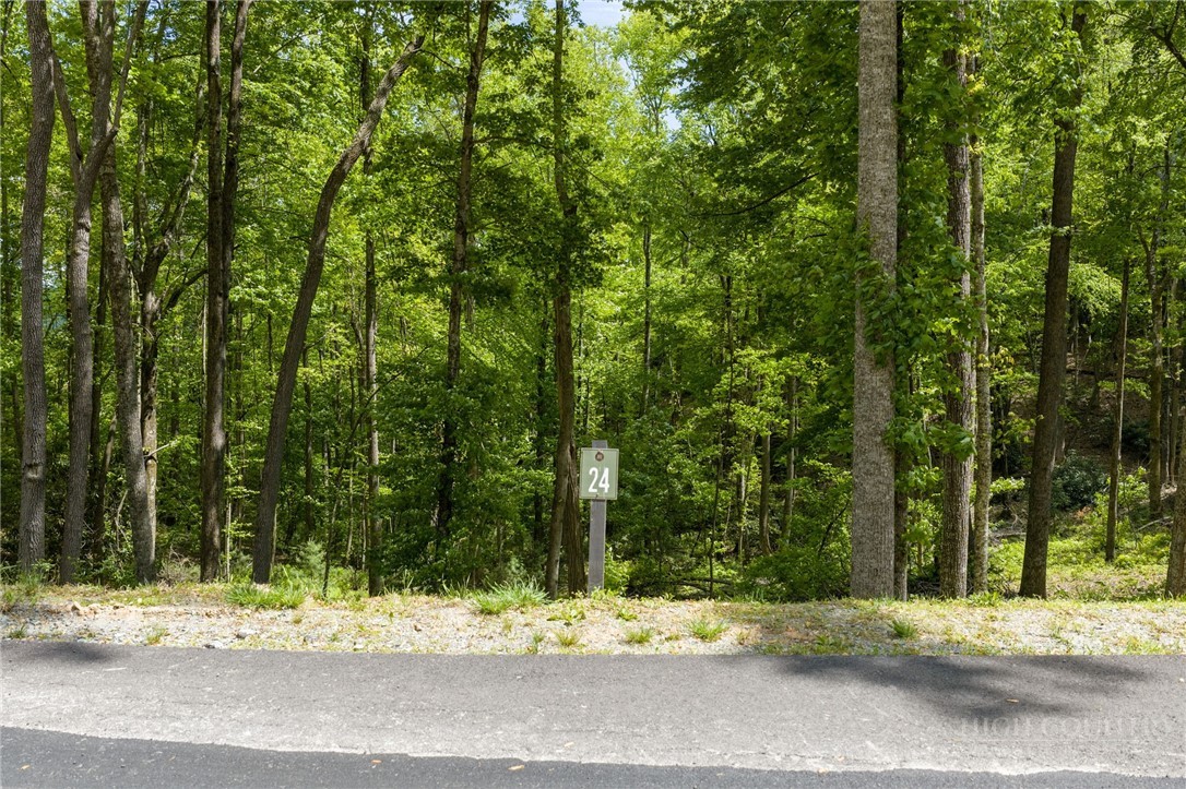 24 Wilderness Reserve Parkway Property Photo 5