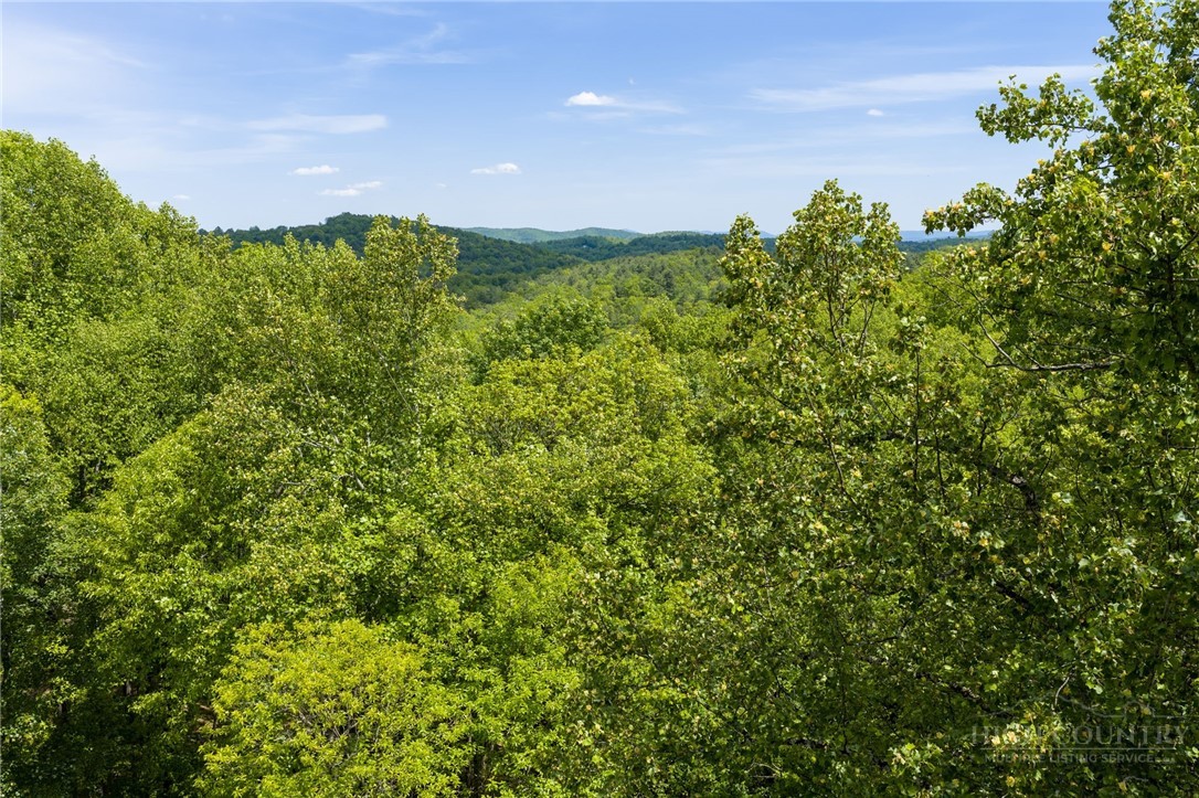 24 Wilderness Reserve Parkway Property Photo 6