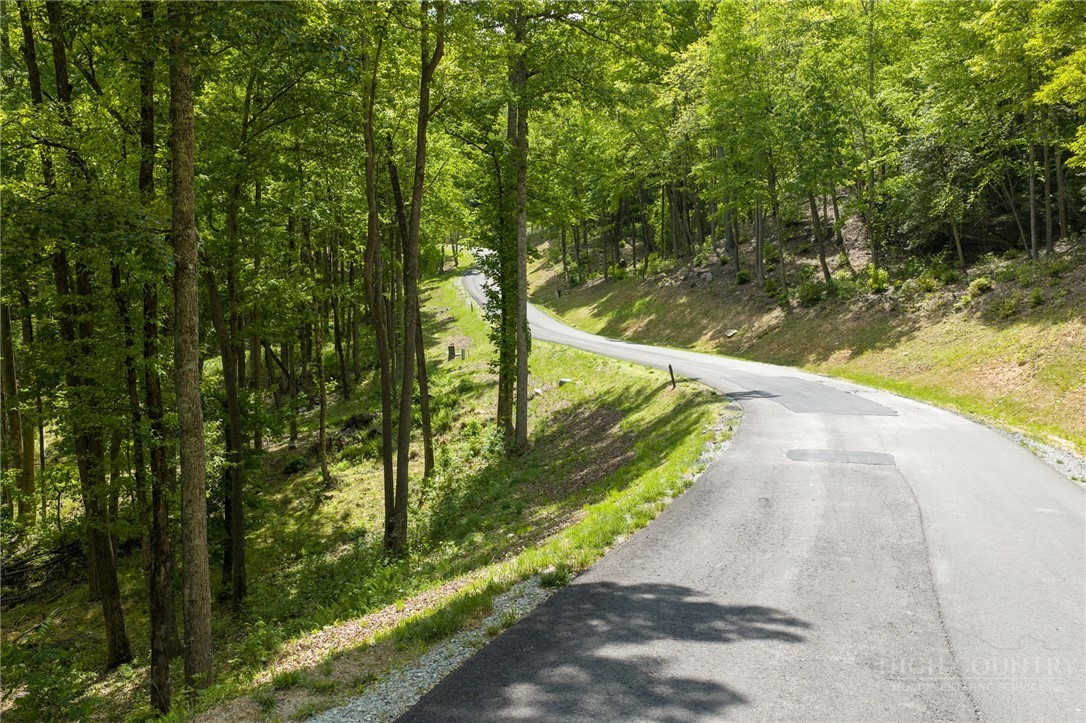 24 Wilderness Reserve Parkway Property Photo 11