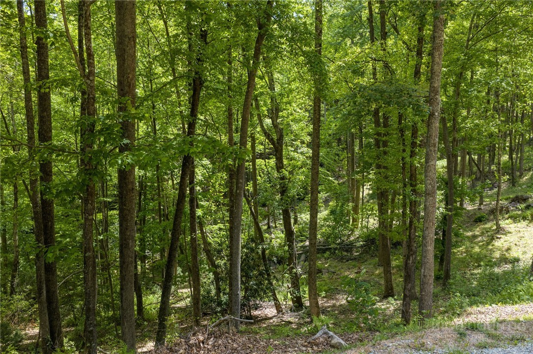 24 Wilderness Reserve Parkway Property Photo 12